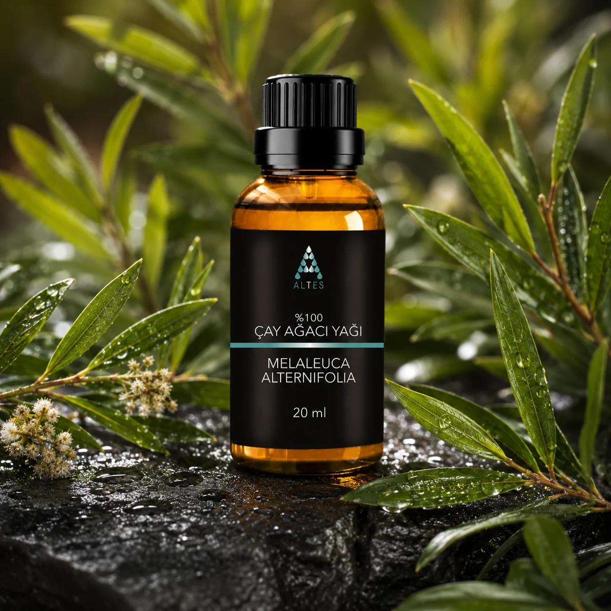ALTES Çay Ağacı Uçucu Yağı 20 ml – %100 Saf ve Doğal - bitkisel yakın plan ürün görseli