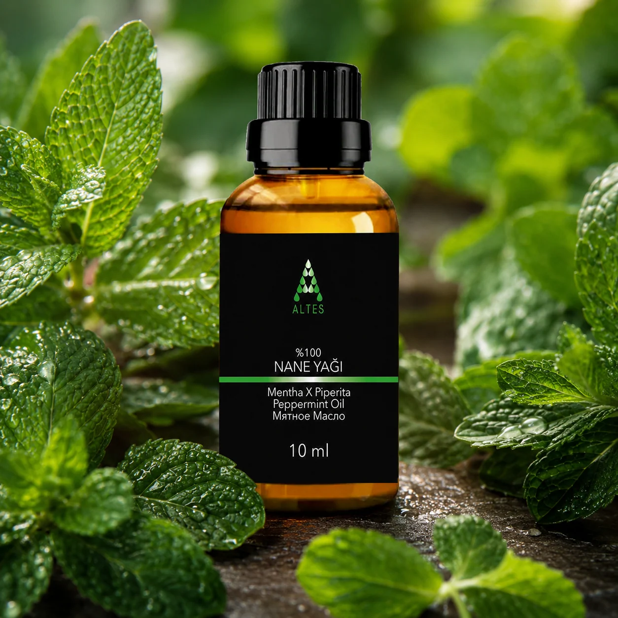 ALTES Nane Uçucu Yağı 10 ml – %100 Saf ve Doğal - bitkisel yakın plan ürün görseli